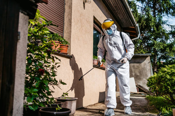Best Local Pest Control Services  in Summit, MS