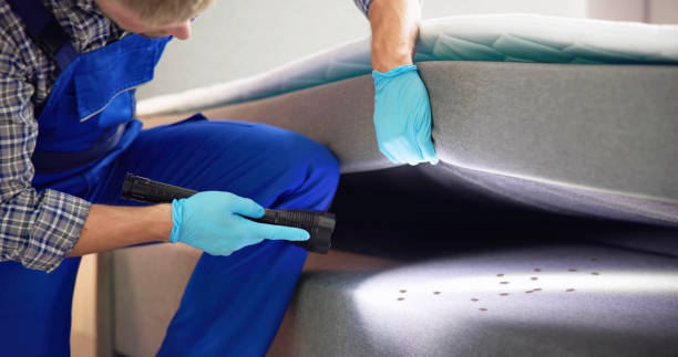Best Pest Control for Businesses  in Summit, MS